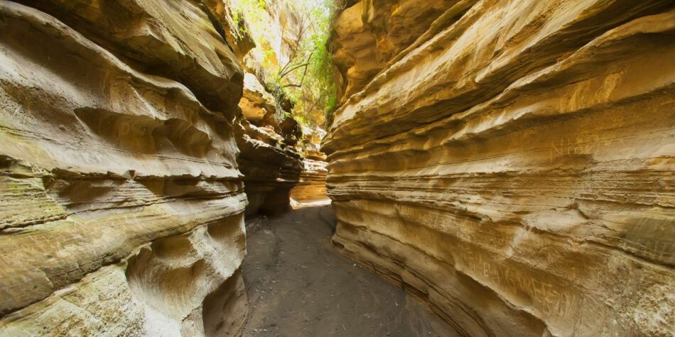 Top Activities in Naivasha: Adventure, Nature & Relaxation